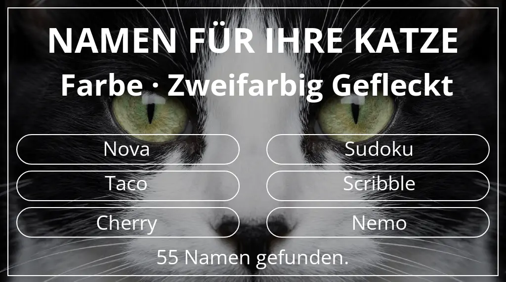 Katzennamen basierend auf farbe zweifarbig gefleckt