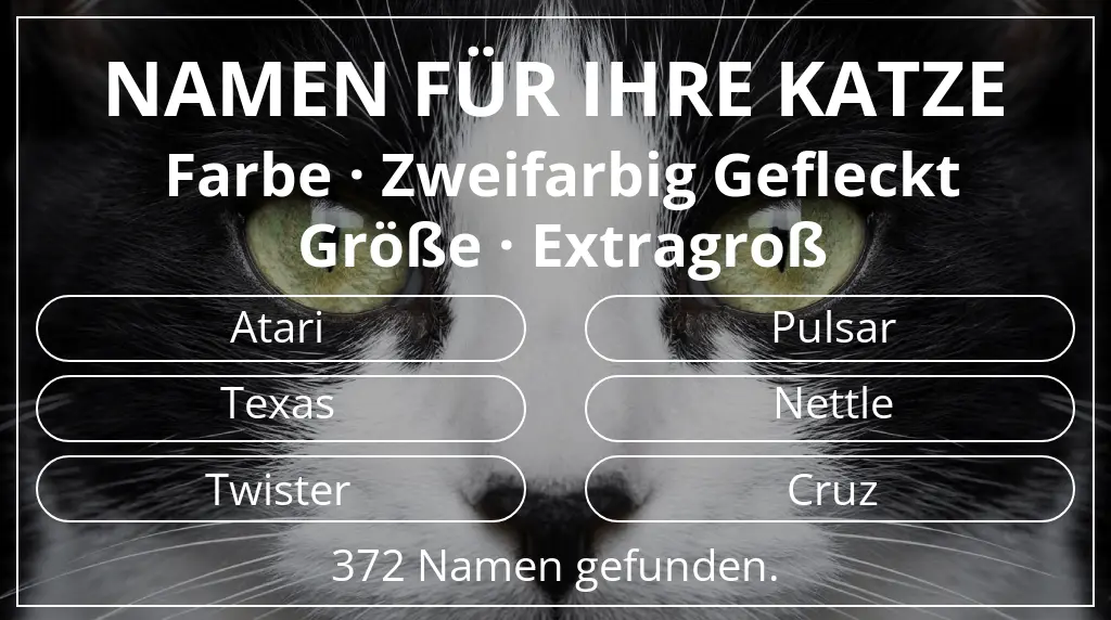 Namen für Katzen basierend auf farbe zweifarbig gefleckt und größe extragroß