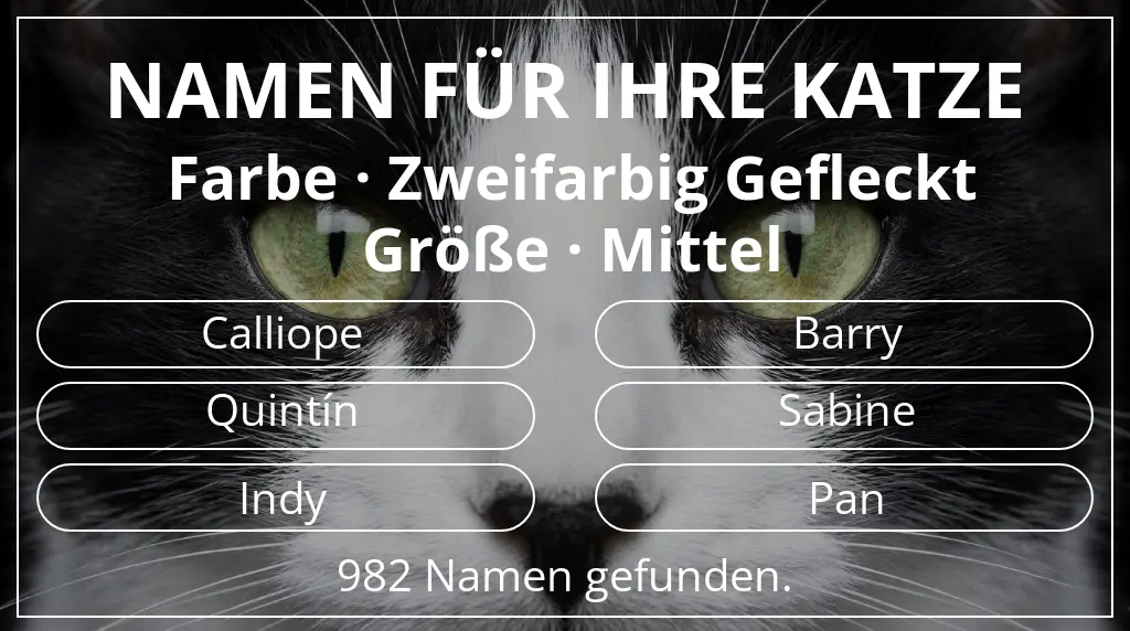 Katzennamen passend zu farbe zweifarbig gefleckt und größe mittel