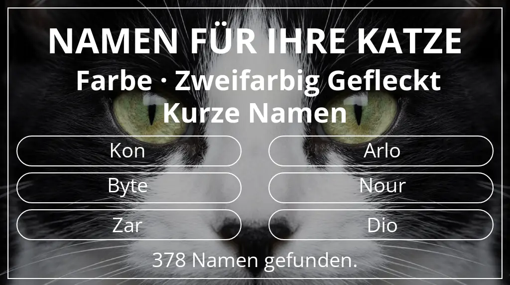 Katzennamen passend zu farbe zweifarbig gefleckt und namenslänge kurz (2–4)