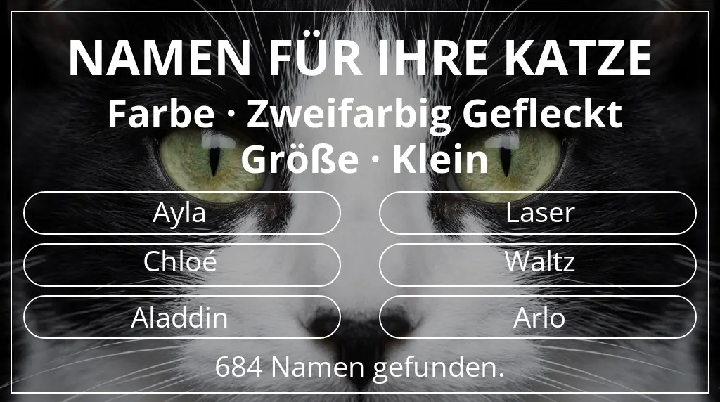 Katzennamen basierend auf farbe zweifarbig gefleckt und größe klein