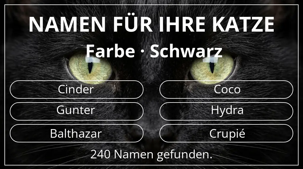 Katzennamen basierend auf farbe schwarz