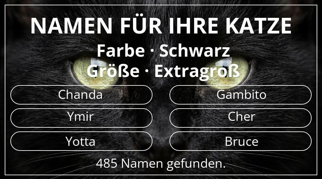Katzennamen basierend auf farbe schwarz und größe extragroß
