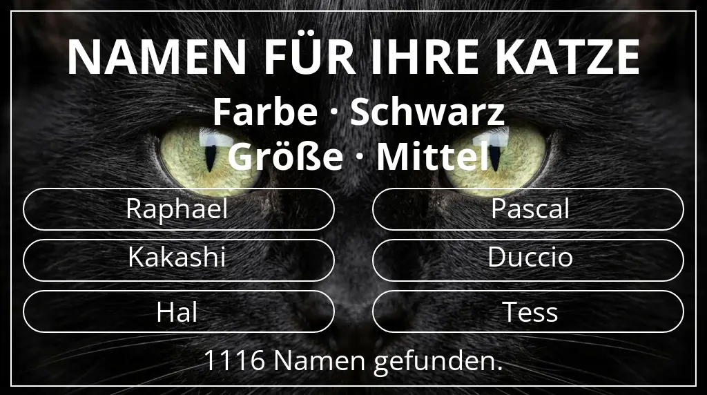 Katzennamen passend zu farbe schwarz und größe mittel