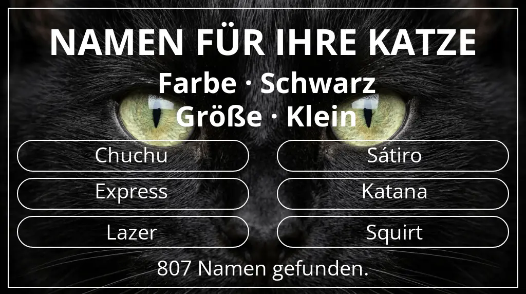 Namen für Katzen passend zu farbe schwarz und größe klein