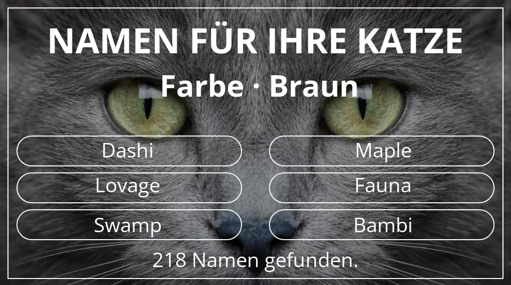 Katzennamen inspiriert von farbe braun