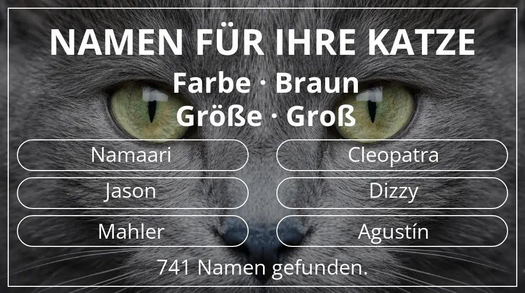 Namen für Katzen inspiriert von farbe braun und größe groß