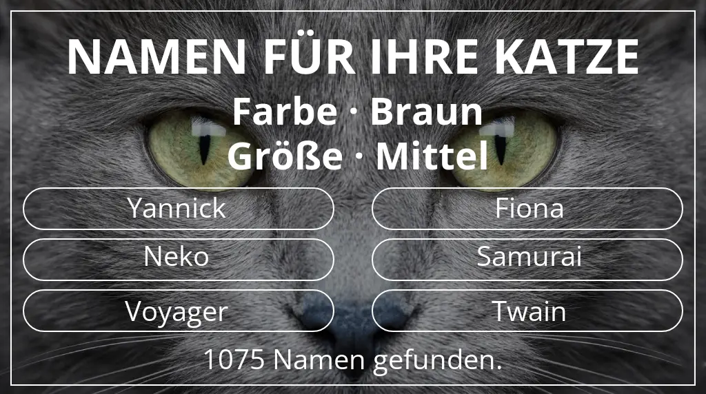 Namen für Katzen basierend auf farbe braun und größe mittel