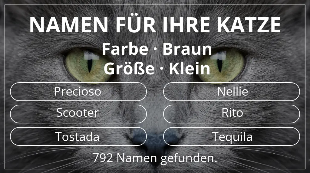Katzennamen passend zu farbe braun und größe klein