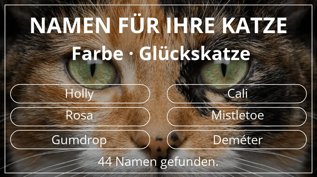 Namen für Katzen inspiriert von farbe glückskatze