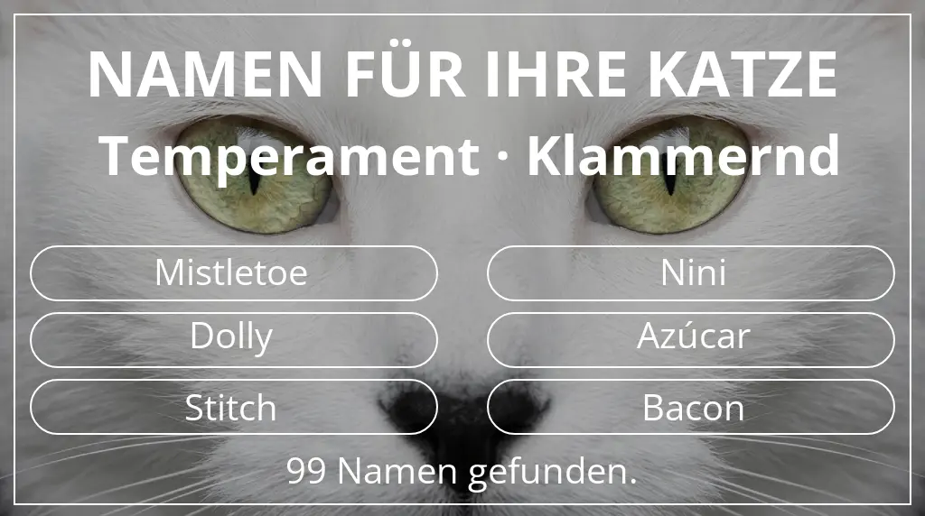 Namen für Katzen inspiriert von temperament klammernd