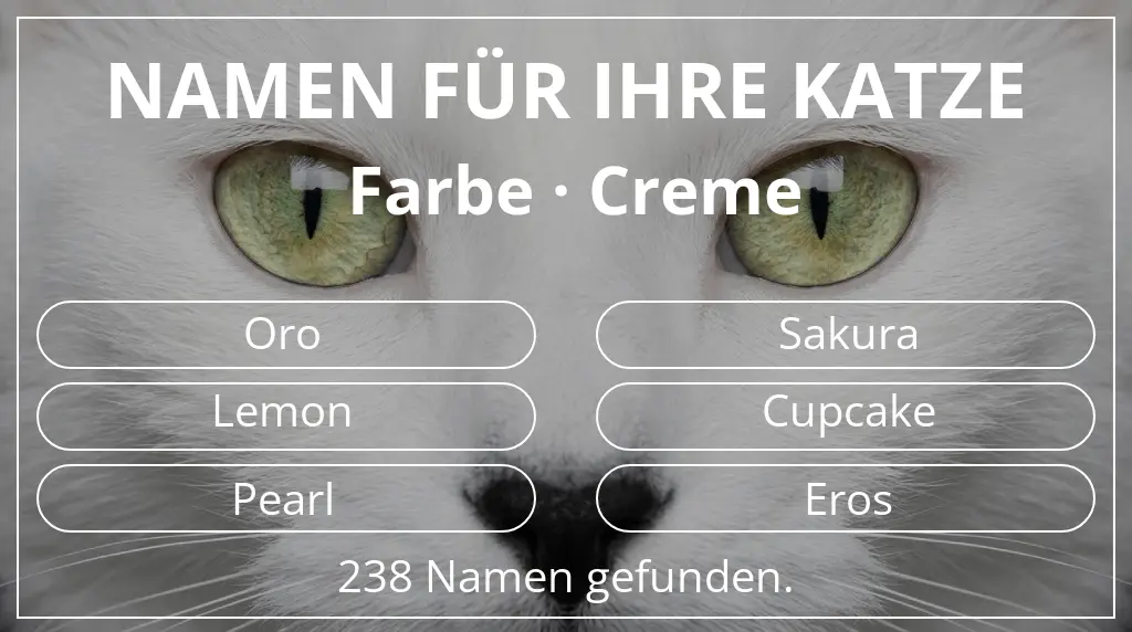 Namen für Katzen inspiriert von farbe creme
