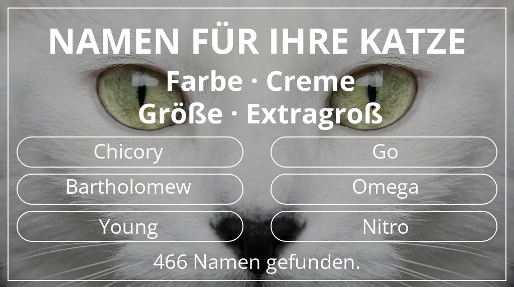 Namen für Katzen inspiriert von farbe creme und größe extragroß