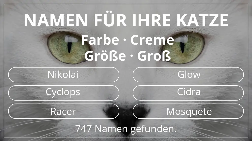Namen für Katzen basierend auf farbe creme und größe groß