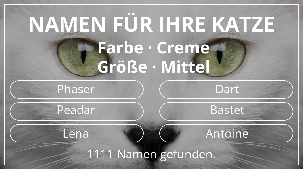 Namen für Katzen basierend auf farbe creme und größe mittel