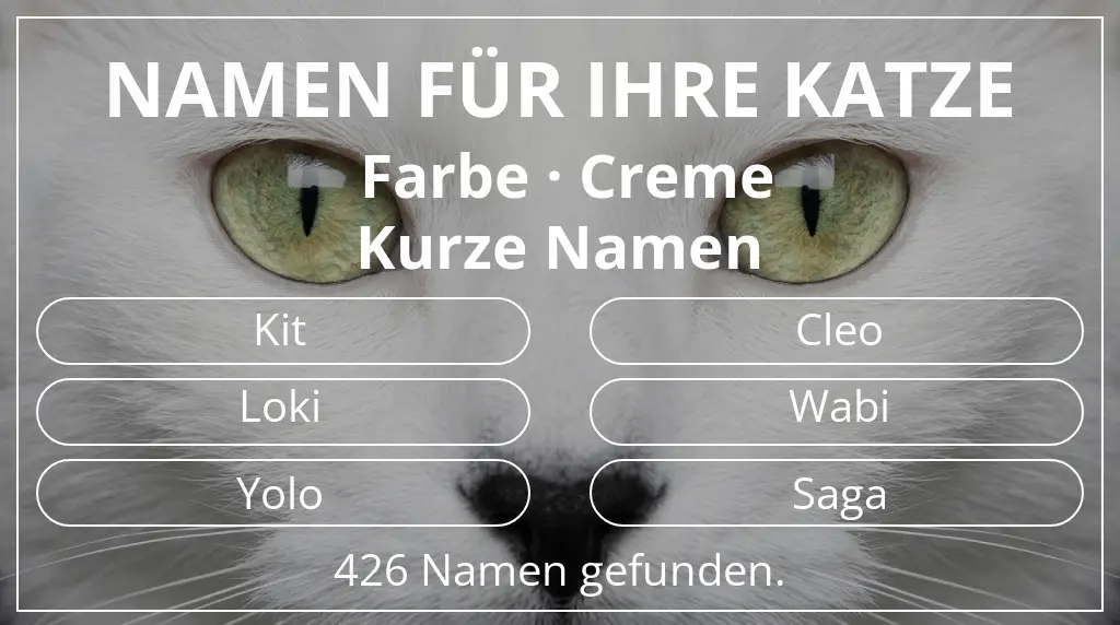 Namen für Katzen inspiriert von farbe creme und namenslänge kurz (2–4)