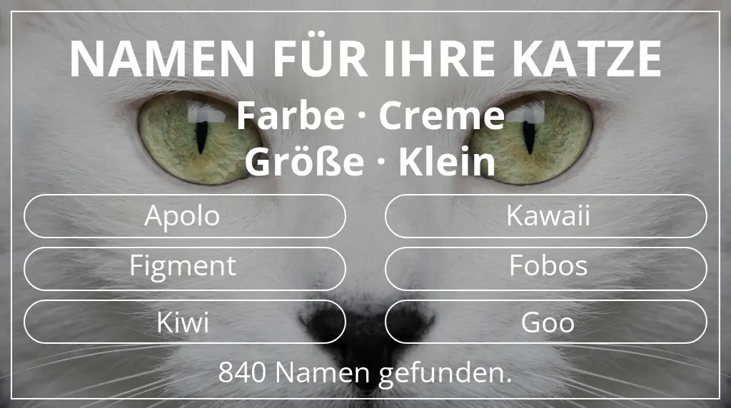 Katzennamen passend zu farbe creme und größe klein
