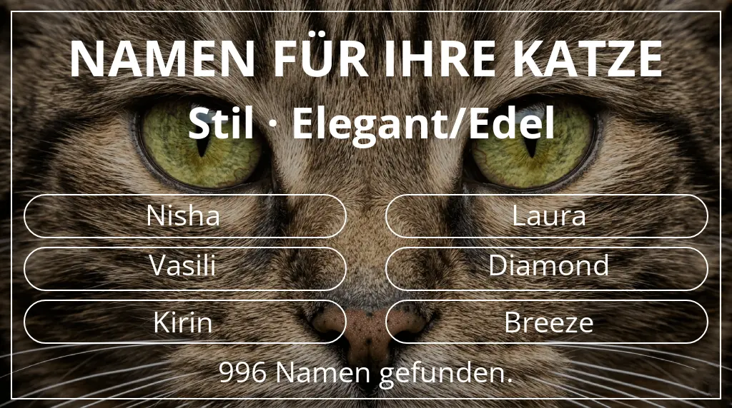 Namen für Katzen inspiriert von stil elegant/edel