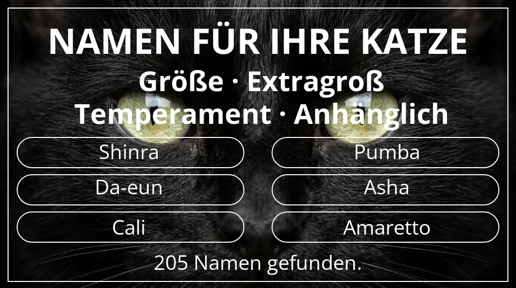 Katzennamen inspiriert von größe extragroß und temperament anhänglich