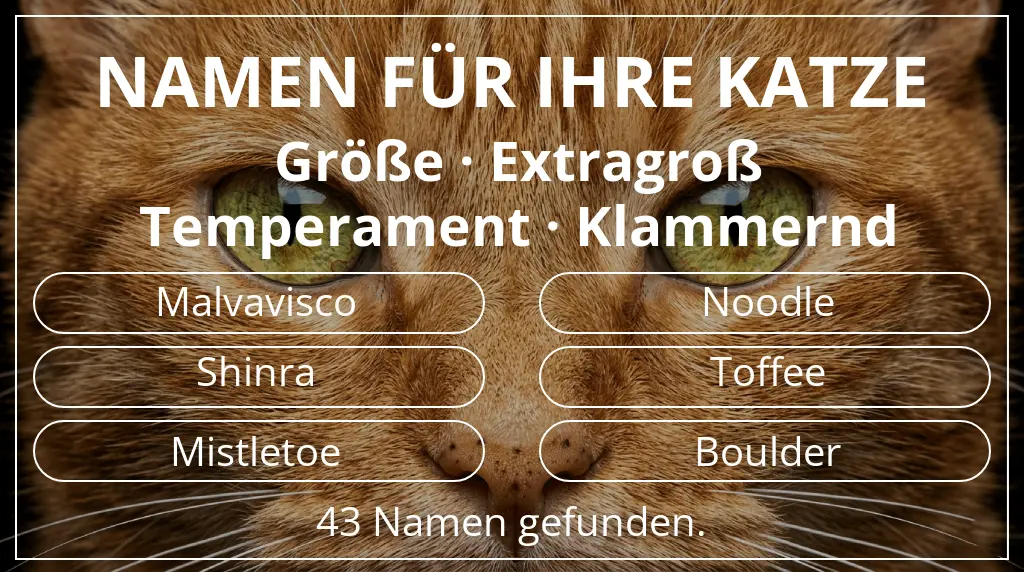 Namen für Katzen basierend auf größe extragroß und temperament klammernd