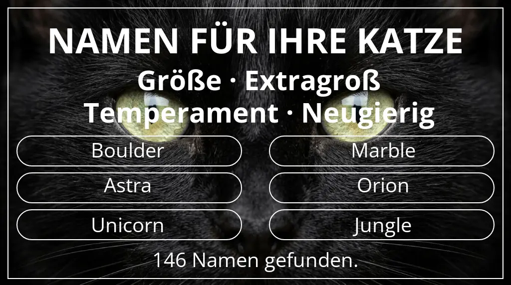 Namen für Katzen basierend auf größe extragroß und temperament neugierig