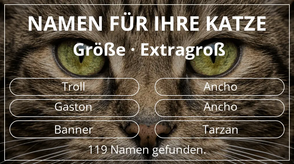 Katzennamen basierend auf größe extragroß