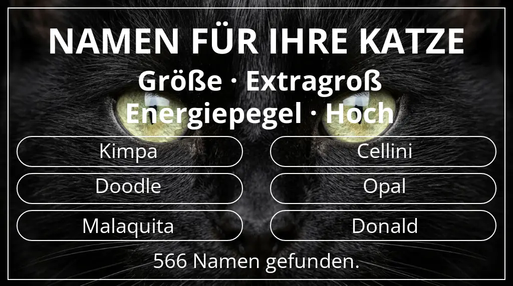 Namen für Katzen basierend auf größe extragroß und energiepegel hoch
