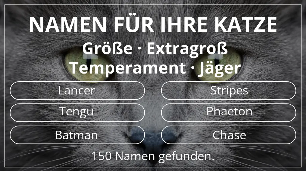 Katzennamen basierend auf größe extragroß und temperament jäger