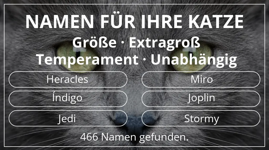 Namen für Katzen inspiriert von größe extragroß und temperament unabhängig