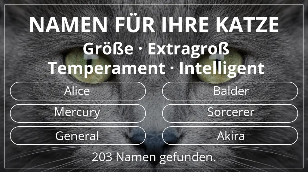 Katzennamen passend zu größe extragroß und temperament intelligent