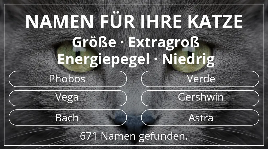 Katzennamen inspiriert von größe extragroß und energiepegel niedrig