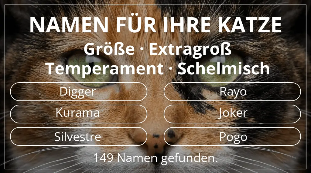 Katzennamen basierend auf größe extragroß und temperament schelmisch