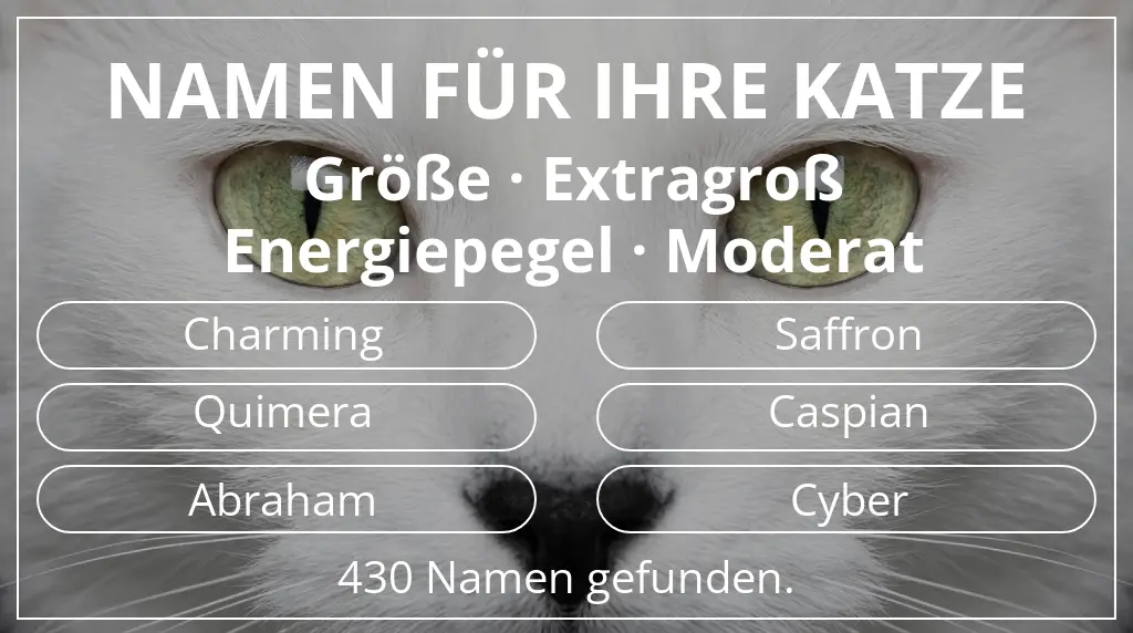 Namen für Katzen passend zu größe extragroß und energiepegel moderat