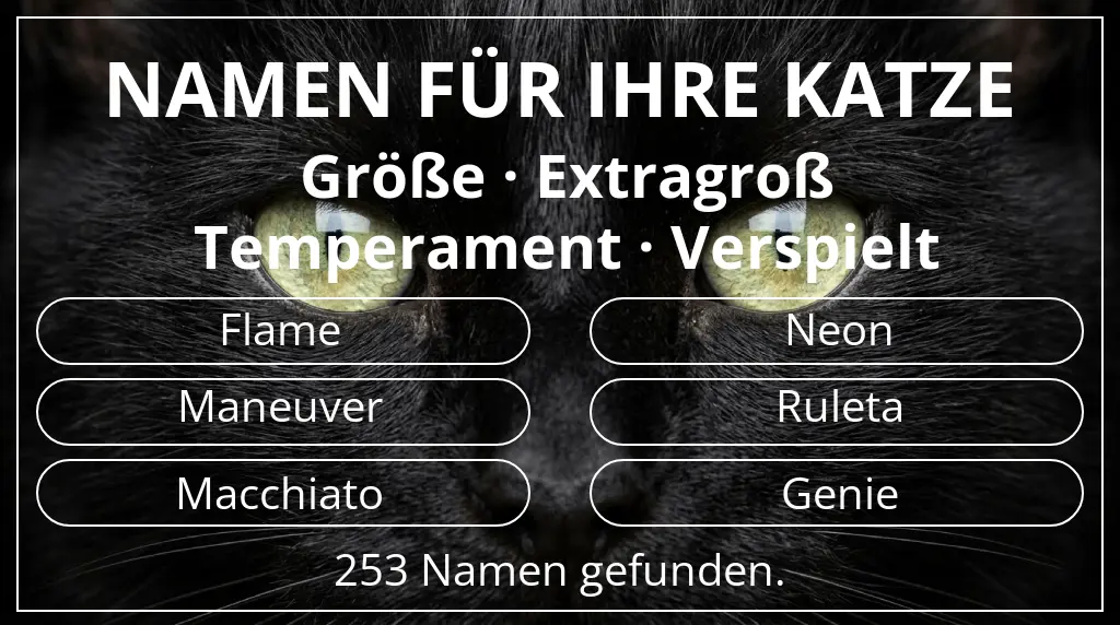 Namen für Katzen basierend auf größe extragroß und temperament verspielt