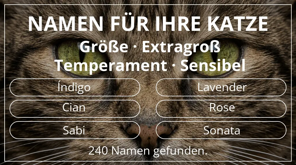 Namen für Katzen passend zu größe extragroß und temperament sensibel