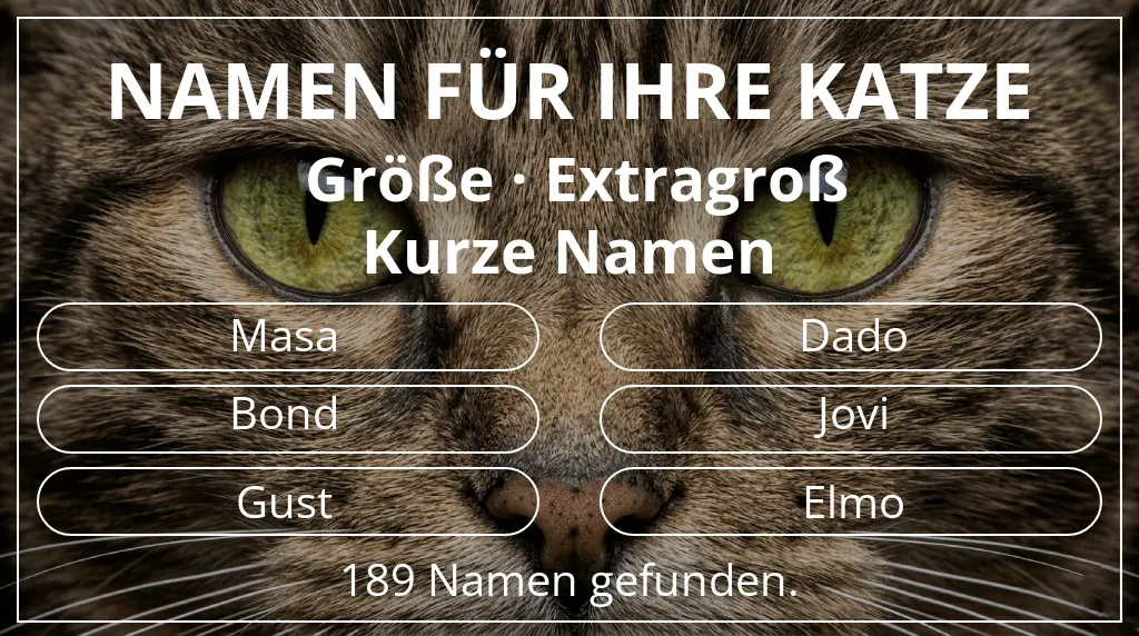 Namen für Katzen inspiriert von größe extragroß und namenslänge kurz (2–4)