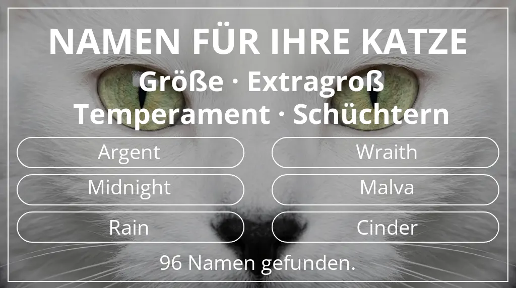 Katzennamen passend zu größe extragroß und temperament schüchtern