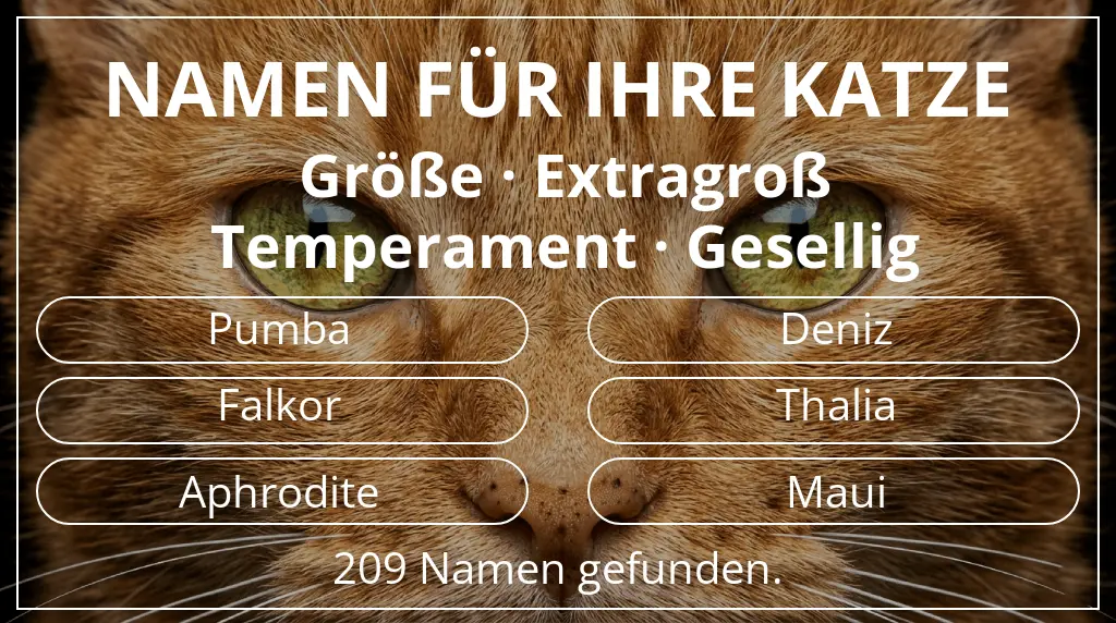 Katzennamen passend zu größe extragroß und temperament gesellig
