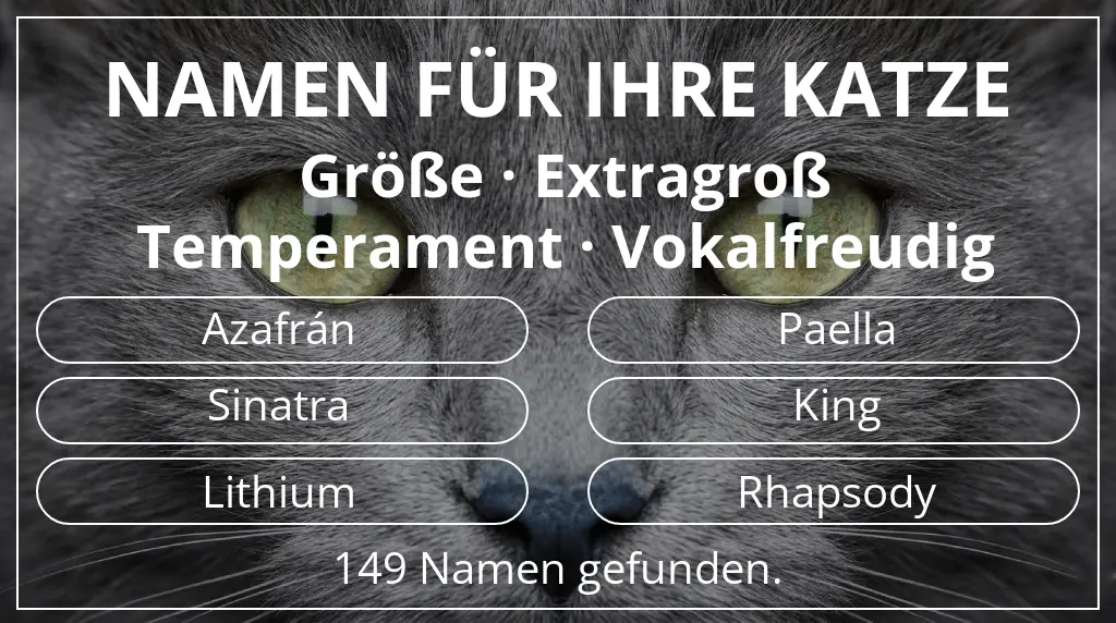 Namen für Katzen basierend auf größe extragroß und temperament vokalfreudig