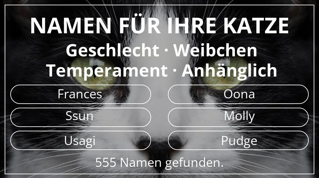 Namen für Katzen inspiriert von geschlecht weibchen und temperament anhänglich