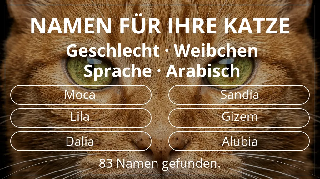 Namen für Katzen inspiriert von geschlecht weibchen und sprache arabisch