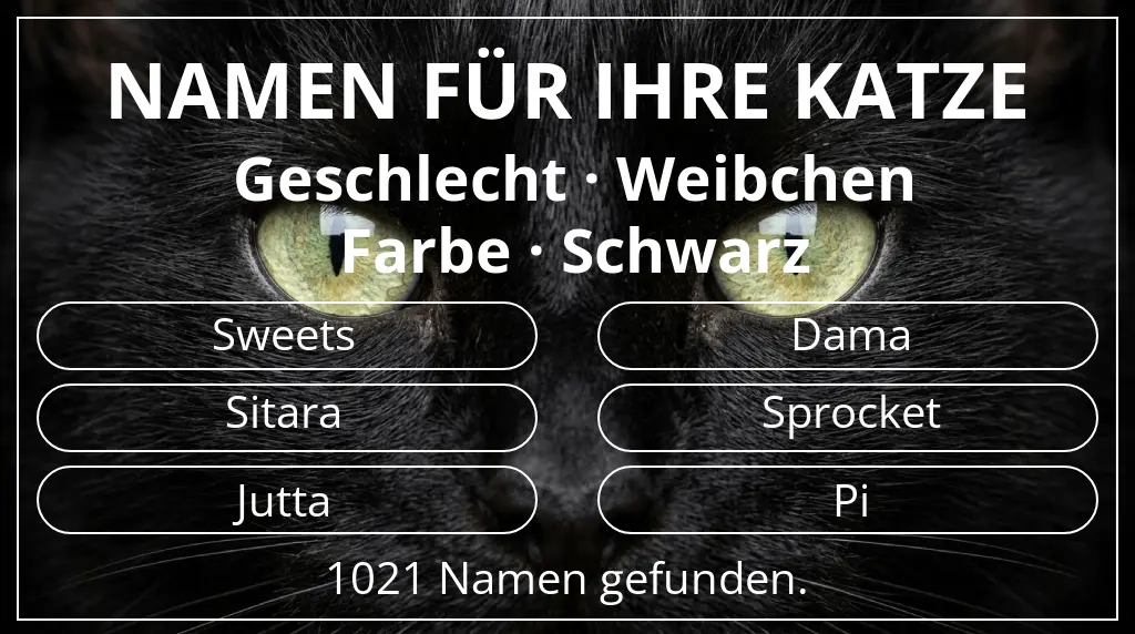 Katzennamen passend zu geschlecht weibchen und farbe schwarz