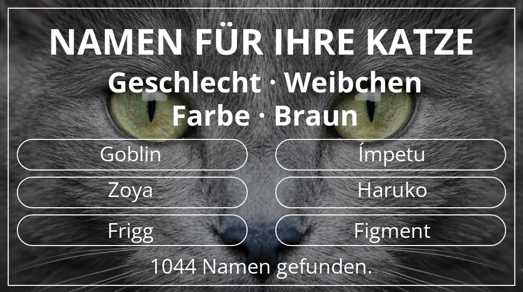 Katzennamen inspiriert von geschlecht weibchen und farbe braun