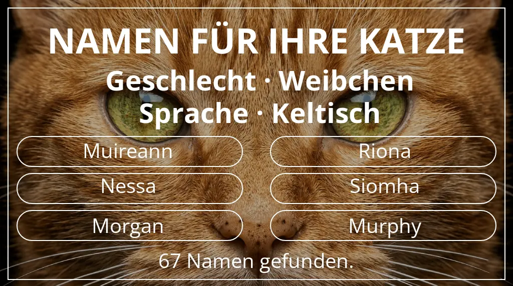 Katzennamen basierend auf geschlecht weibchen und sprache keltisch