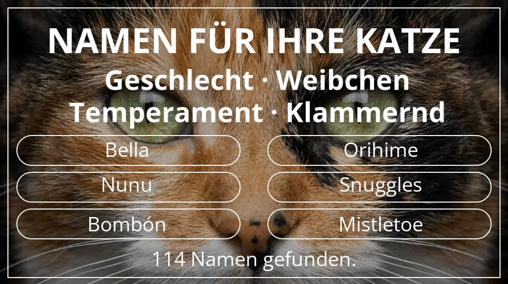 Namen für Katzen passend zu geschlecht weibchen und temperament klammernd