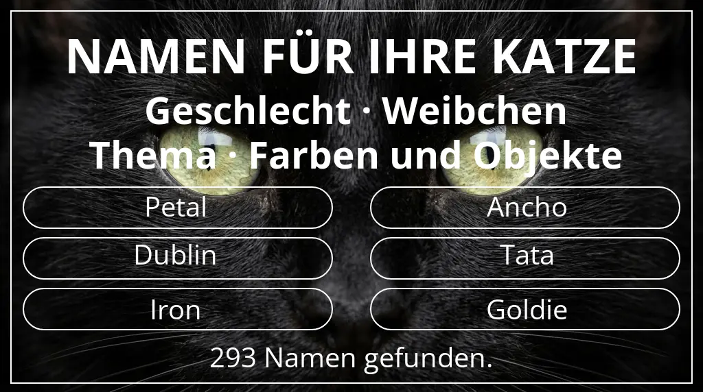 Namen für Katzen basierend auf geschlecht weibchen und thema farben und objekte