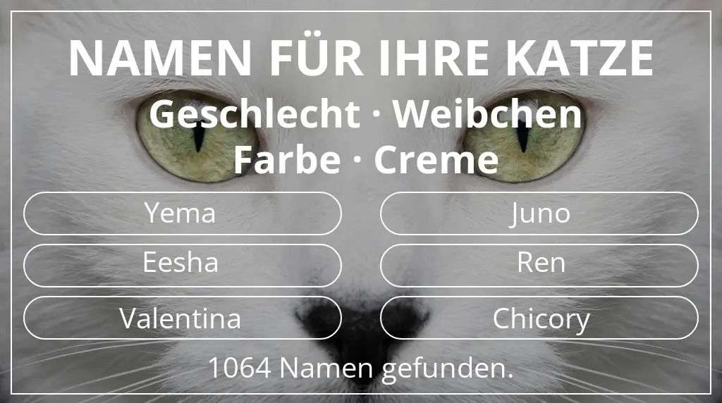 Katzennamen basierend auf geschlecht weibchen und farbe creme