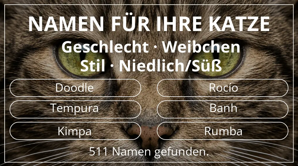Namen für Katzen inspiriert von geschlecht weibchen und stil niedlich/süß