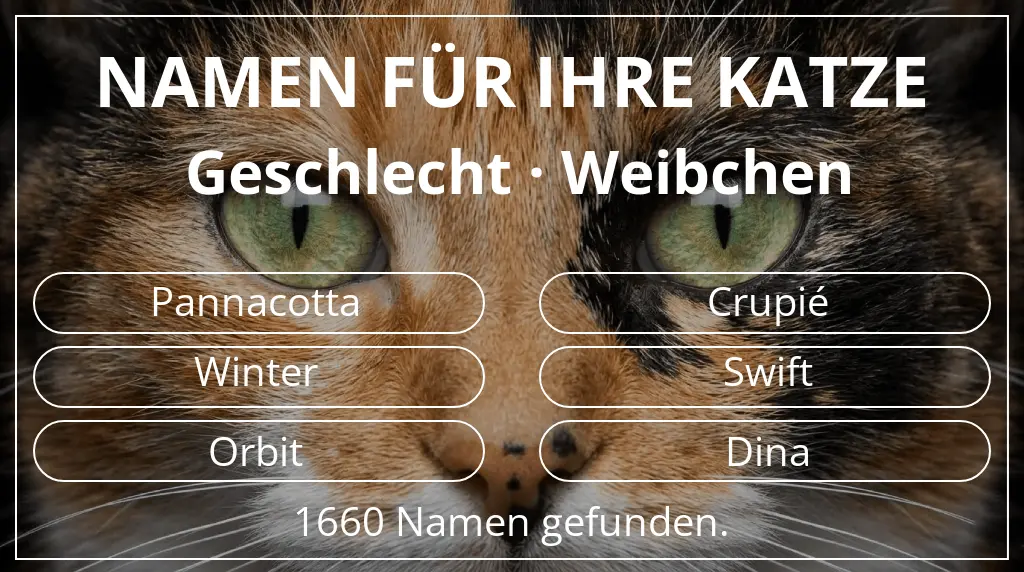 Namen für Katzen passend zu geschlecht weibchen