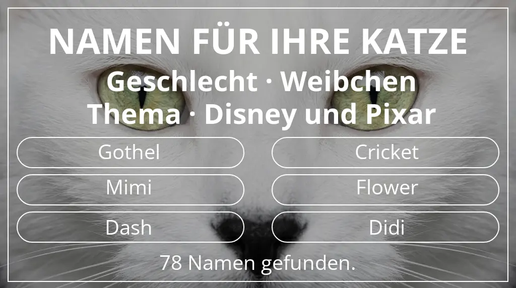 Katzennamen basierend auf geschlecht weibchen und thema disney und pixar